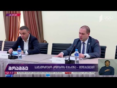 საგამოძიებო კომისიის დასკვნა - შეფასებები